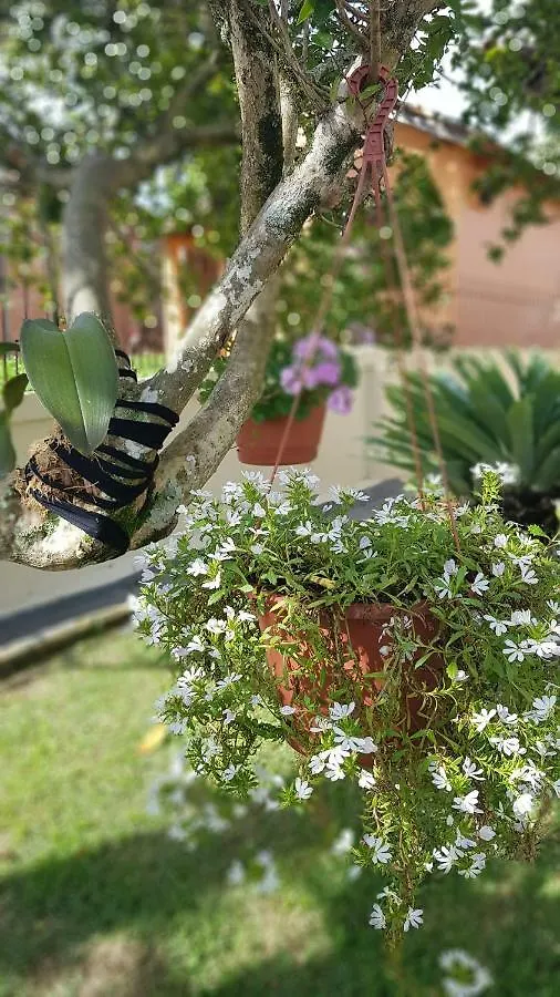 Kro Pousada Quatro Estacoes Gravatal